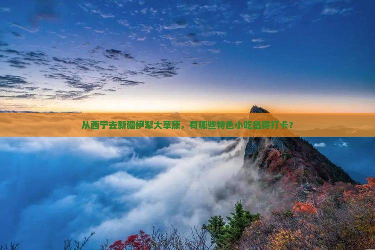 西宁到新疆伊犁大草原旅游小吃