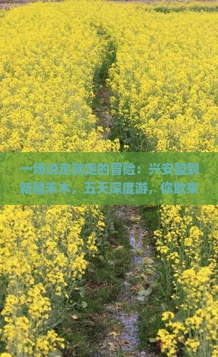 兴安盟去新疆禾木五日游