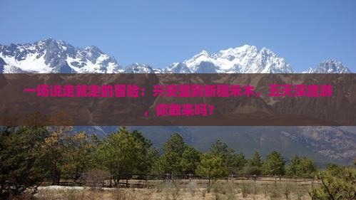 兴安盟去新疆禾木五日游