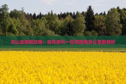 文山去新疆攻略