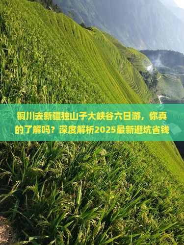 铜川去新疆独山子大峡谷六日游