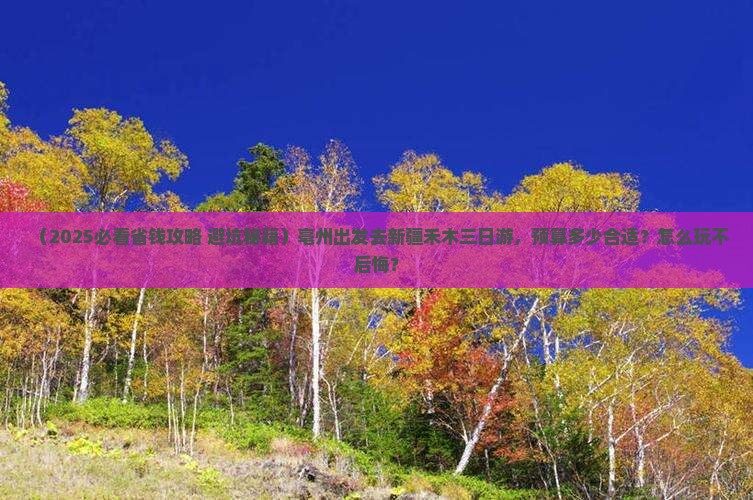 亳州去新疆禾木三日游