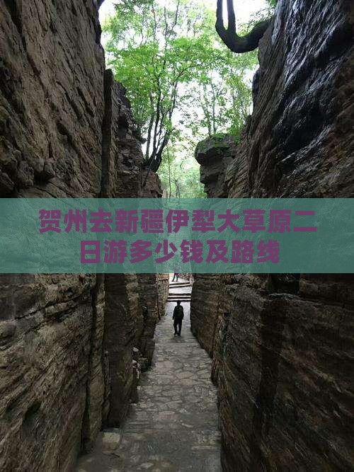 贺州去新疆伊犁大草原二日游