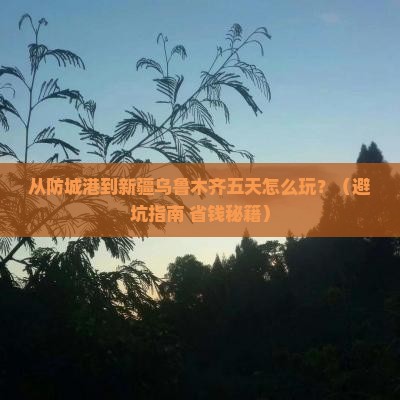防城港到新疆乌鲁木齐五日游