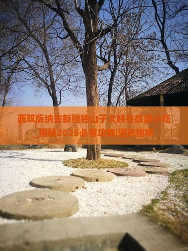 西双版纳去新疆独山子大峡谷旅游小吃