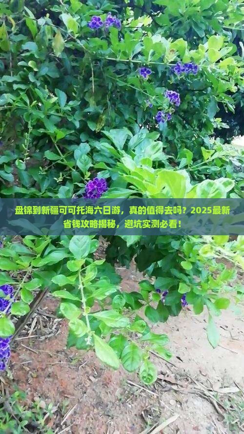 盘锦到新疆可可托海六日游
