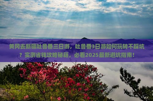黄冈去新疆吐鲁番三日游