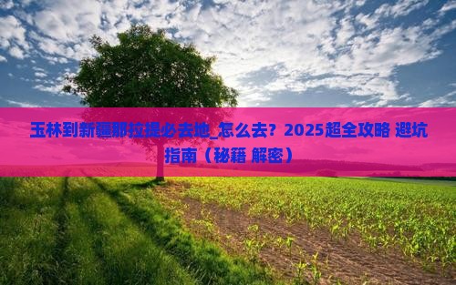 玉林到新疆那拉提必去地