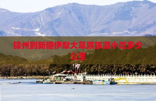 锦州到新疆伊犁大草原旅游小吃