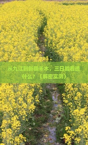 九江到新疆禾木三日游
