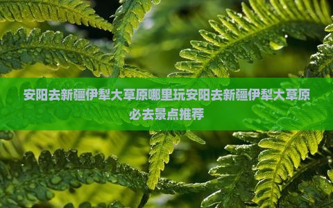 安阳去新疆伊犁大草原哪里玩
