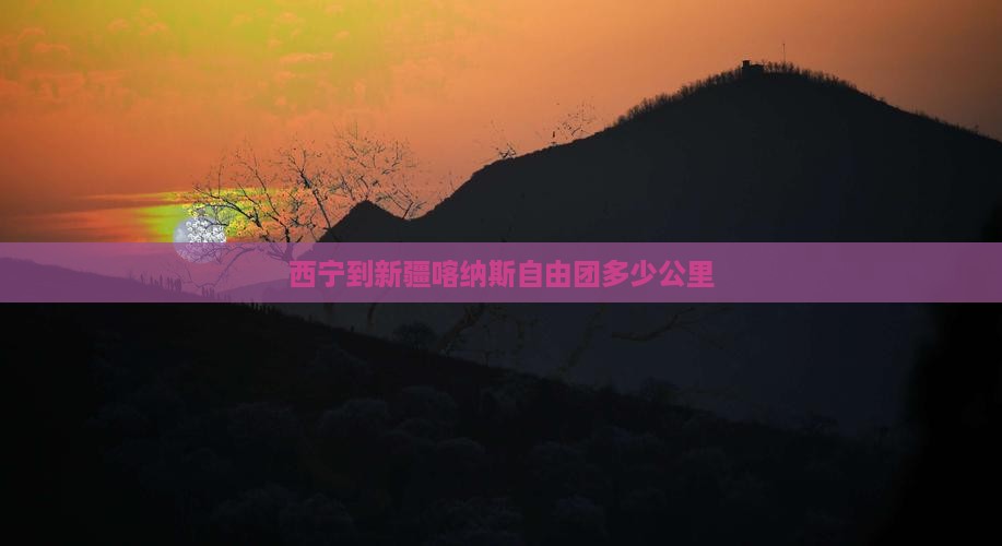 西宁到新疆喀纳斯自由团