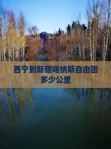 西宁到新疆喀纳斯自由团
