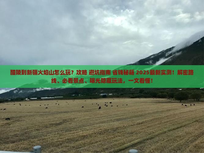 醴陵到新疆火焰山哪里玩