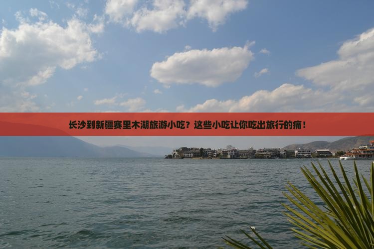 长沙到新疆赛里木湖旅游小吃