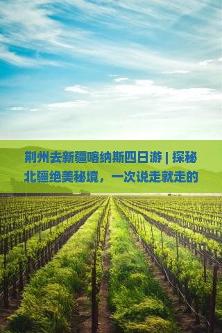 荆州去新疆喀纳斯四日游