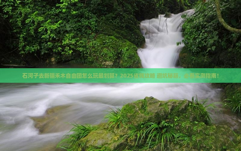 石河子去新疆禾木自由团