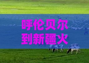 呼伦贝尔到新疆火焰山自由团