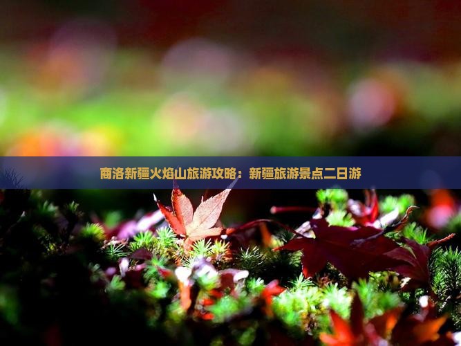 商洛去新疆火焰山二日游