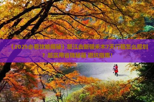 怒江去新疆禾木必去地