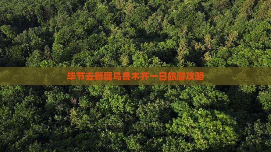 毕节去新疆乌鲁木齐一日