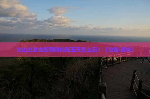 文山到新疆喀纳斯五日游