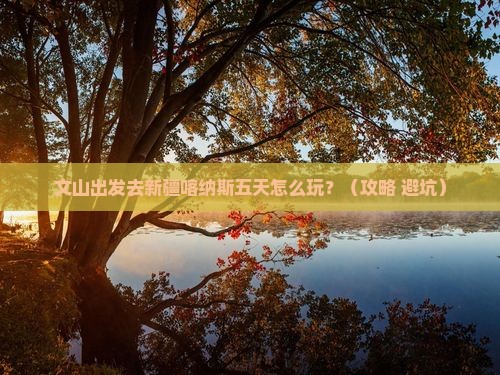 文山到新疆喀纳斯五日游