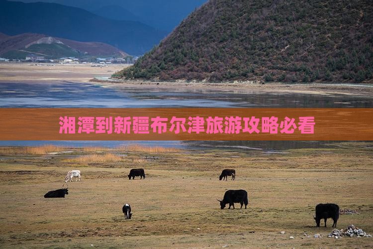 湘潭到新疆布尔津门票