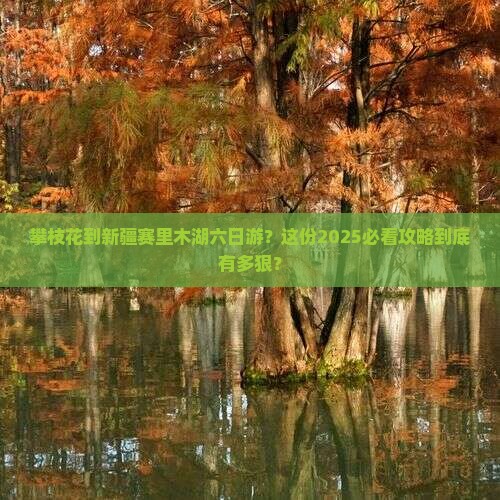 攀枝花到新疆赛里木湖六日游