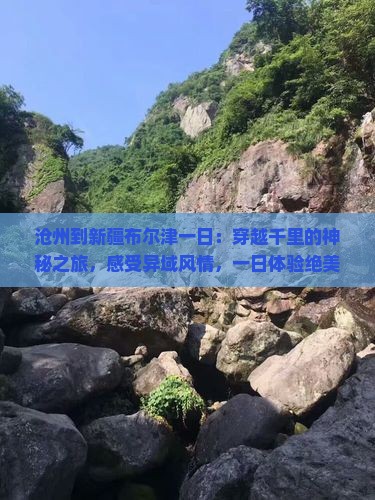 沧州到新疆布尔津一日
