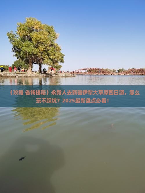 永新去新疆伊犁大草原四日游