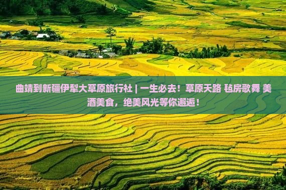 曲靖到新疆伊犁大草原旅行社