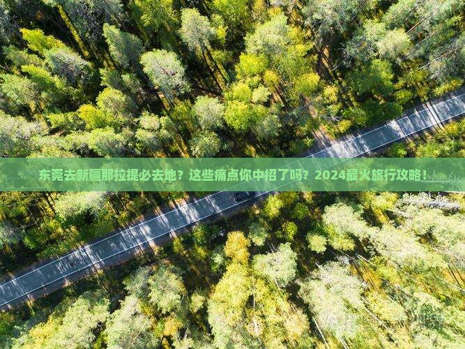 东莞去新疆那拉提必去地