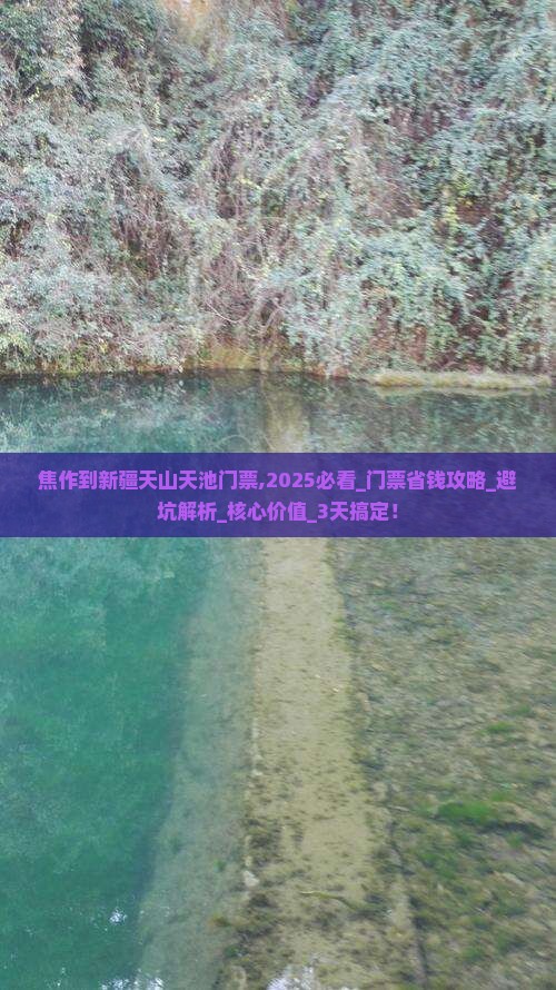 焦作到新疆天山天池门票
