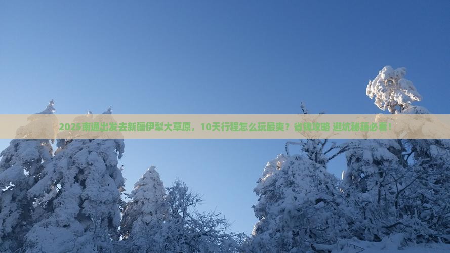 南通到新疆伊犁大草原团体旅游