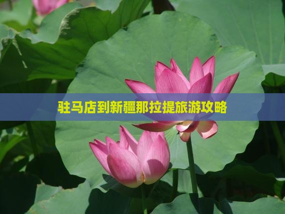 驻马店到新疆那拉提景点