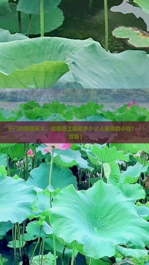 天门到新疆禾木旅游小吃