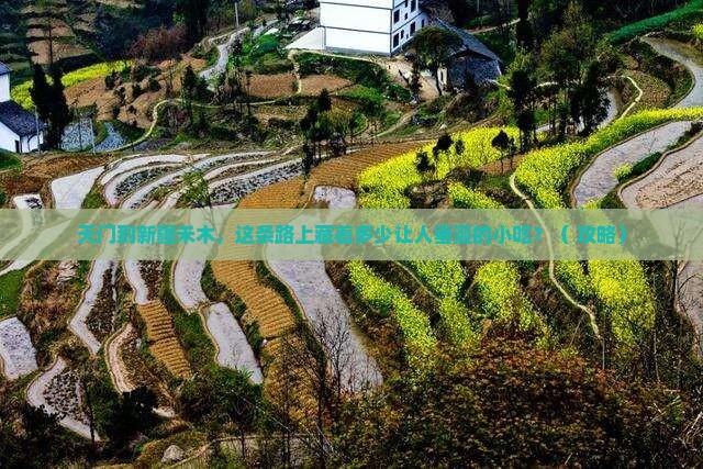 天门到新疆禾木旅游小吃