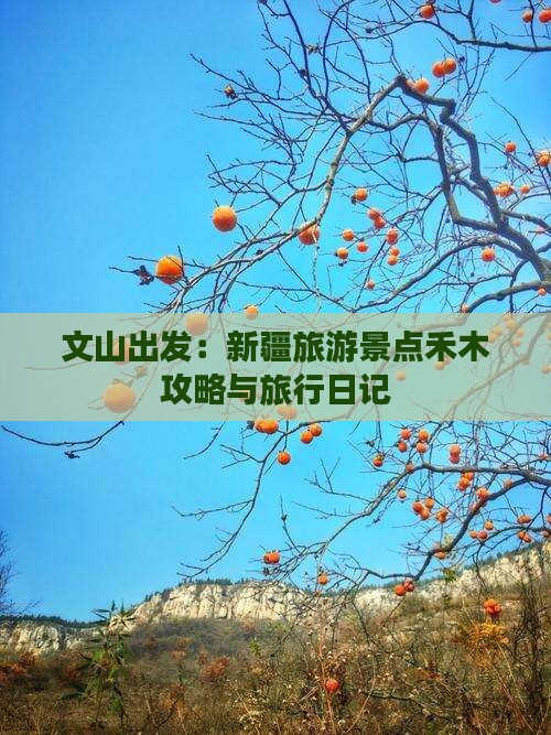 文山出发：新疆旅游景点禾木攻略与旅行日记