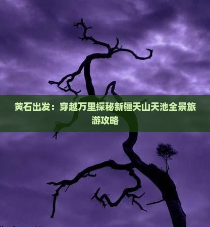 黄石出发：穿越万里探秘新疆天山天池全景旅游攻略