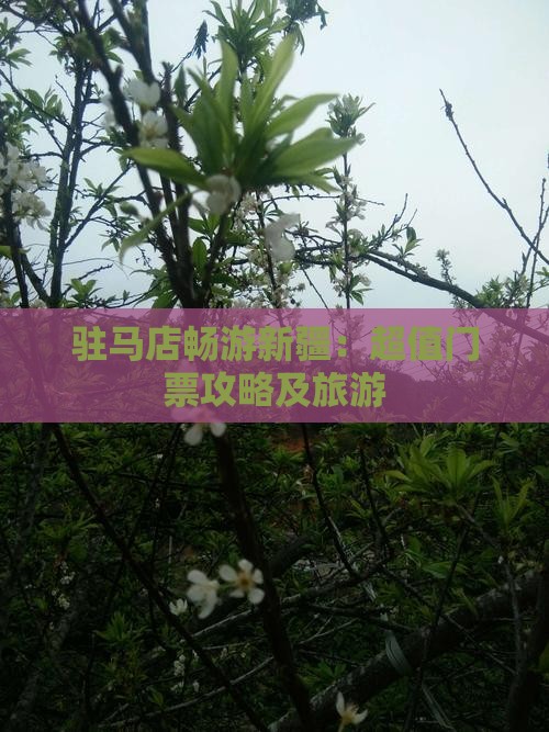 驻马店畅游新疆：超值门票攻略及旅游