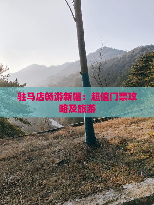 驻马店畅游新疆：超值门票攻略及旅游