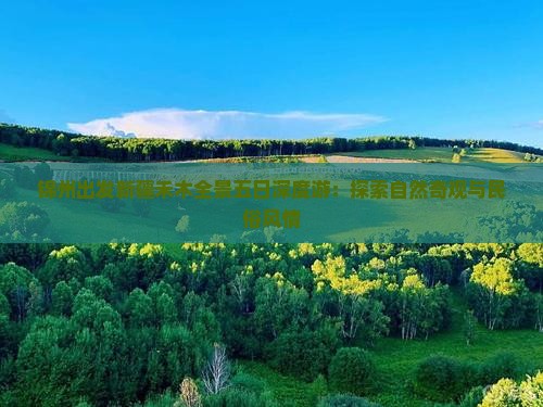 锦州出发新疆禾木全景五日深度游：探索自然奇观与民俗风情