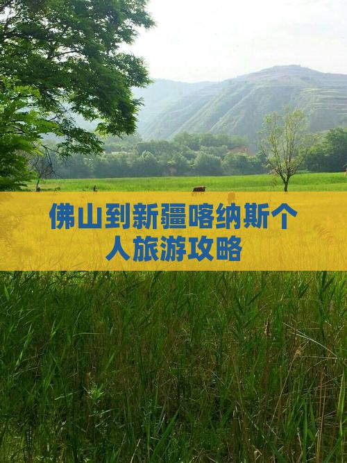 佛山到新疆喀纳斯个人旅游攻略