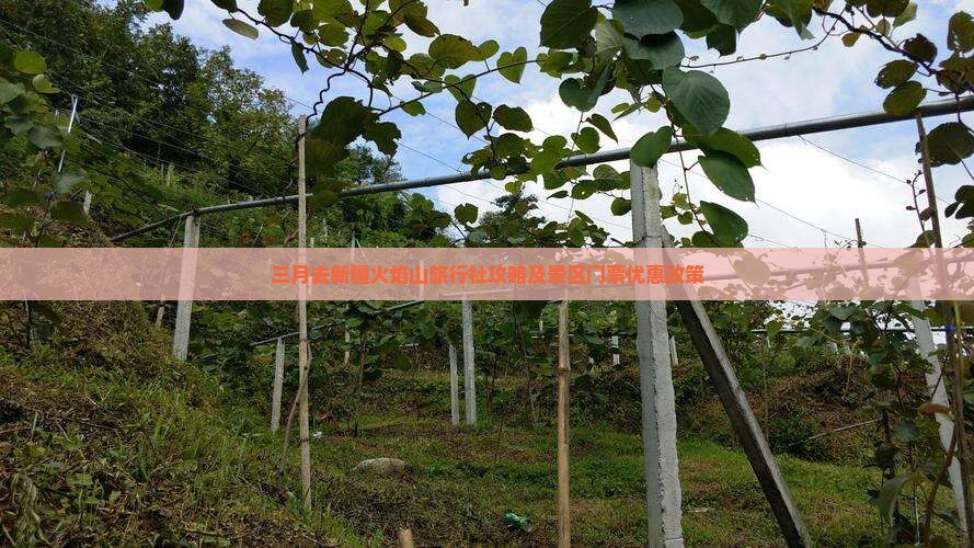 三月去新疆火焰山旅行社攻略及景区门票优惠政策