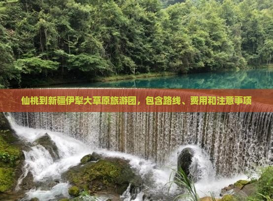 仙桃到新疆伊犁大草原旅游团，包含路线、费用和注意事项