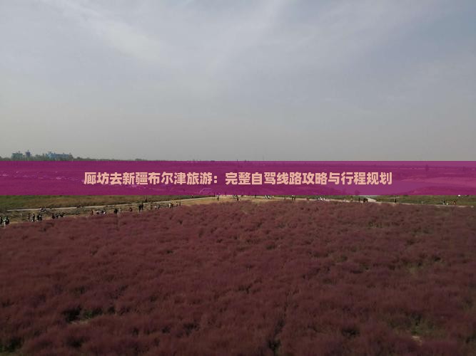 廊坊去新疆布尔津旅游：完整自驾线路攻略与行程规划