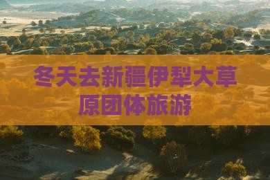 冬天去新疆伊犁大草原团体旅游