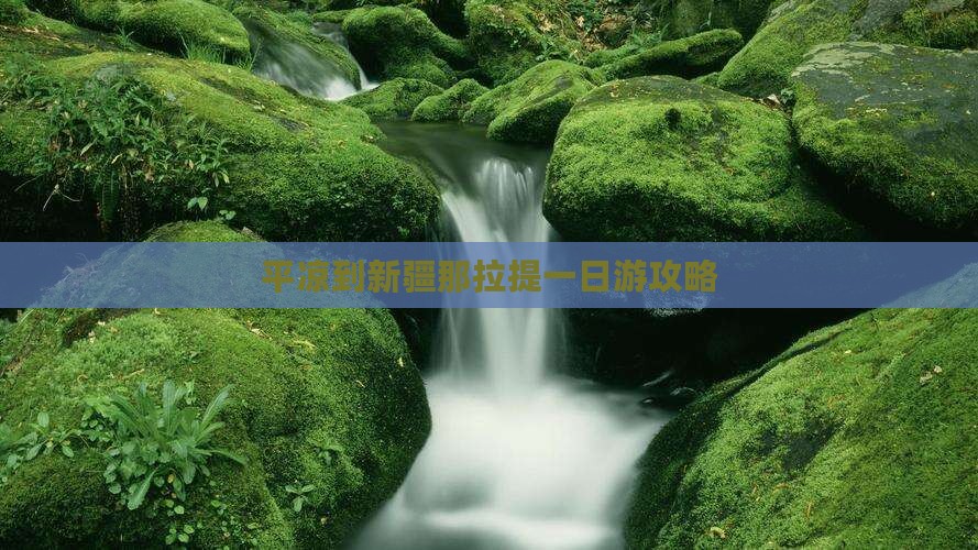 平凉到新疆那拉提一日游攻略