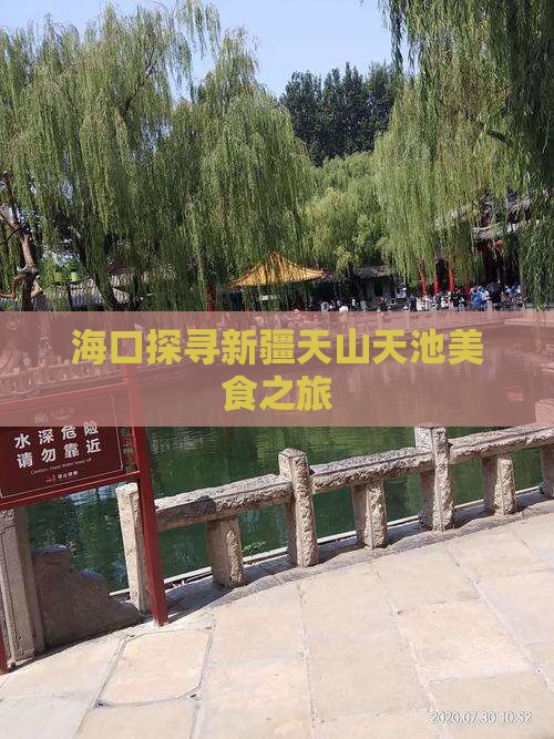 海口探寻新疆天山天池美食之旅